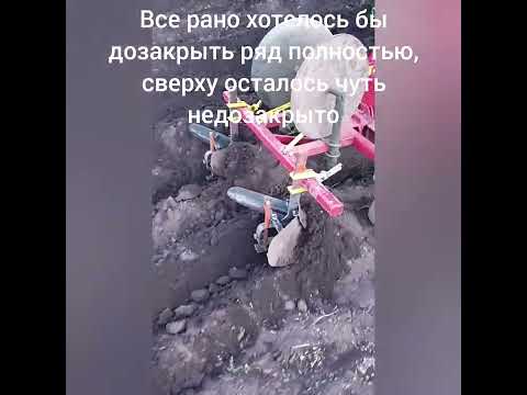 Видео: посадка картошки 🥔 май 2024 год