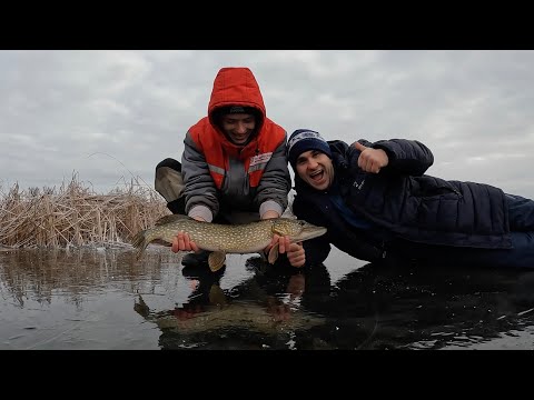 Видео: Первый ЛЕД 2025!!! ОПАСНО! Жарим КАРТОШКУ на КОСТРЕ и ловим Щуку на Жерлицы...
