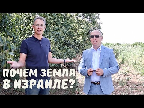 Видео: Почем земля в Израиле?