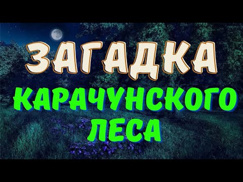 Видео: ЛЕСНОЕ КАПИЩЕ/ Страшные истории про лесные капища/ Деревенские страшилки