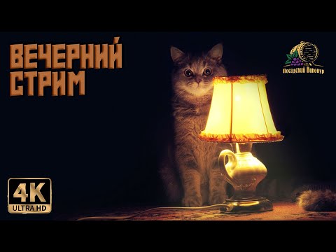 Видео: ВЕЧЕРНИЙ СТРИМ | РОЗЫГРЫШ | ОБЩАЕМСЯ | ДЕЛИМСЯ ОПЫТОМ | 06.09.2024 19:00 МСК | ВСЕХ ЖДУ!!!