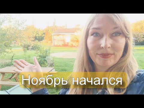 Видео: Садовое, котовое, соседское, бытовое. 