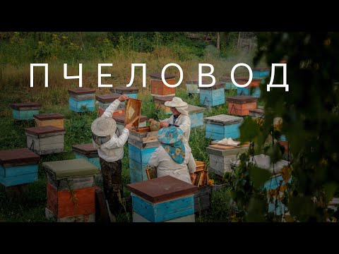 Видео: Пчеловод