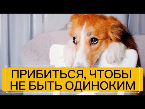 Видео: ПРИБИТЬСЯ К КОМУ-ТО, ЧТОБЫ НЕ ЧУВСТВОВАТЬ СЕБЯ ОДИНОКИМ
