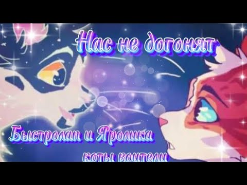 Видео: Нас не догоняет //клип коты воители//Быстролап и Яролика //{ чит. опис} #возродимрукв
