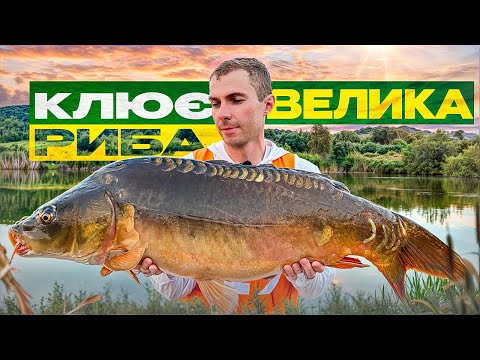 Видео: Як ловити велику рибу? Класичний карпфішинг, змагання, драма та валідол навіть після фінішу!