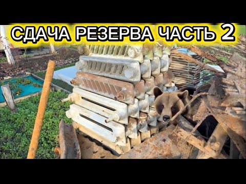 Видео:  СДАЧА РЕЗЕРВА ЧАСТЬ 2 КОНЕЦ ИСТОРИИ!!!