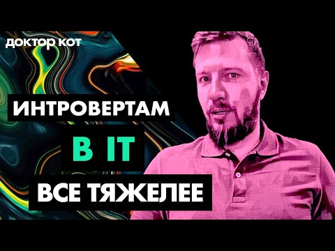 Видео: Почему же интровертам трудно в IT — проблемы с общением и работой в команде — Доктор Кот