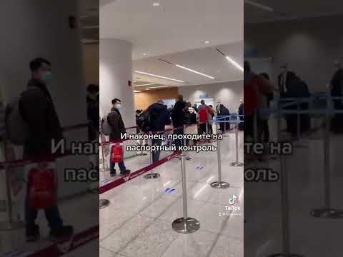 Видео: Аэропорт Инчхон. Южная Корея. Все процедуры и документы, которые вам понадобятся. Январь 2022