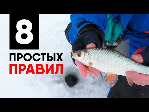 Видео: КАК ПОЙМАТЬ МНОГО ПЛОТВЫ НА МОРМЫШКУ? Четкая схема действий, чтобы поймать полный ящик + ВСЕ СЕКРЕТЫ