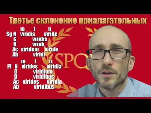 Видео: Латинские прилагательные 3 склонения.