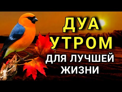 Видео: ДУА, КОТОРОЕ МЕНЯЕТ ВСЮ Твою ЖИЗНЬ! 🤲💫🕊️