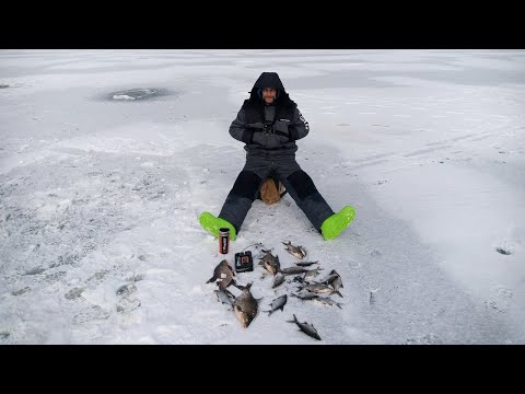 Видео: десять суток на льду в палатке - седьмые и восьмые сутки на водоёме...