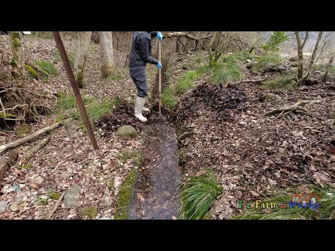 Видео: Водоемы забиты опавшими листьями.