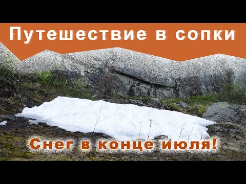 Видео: Путешествие в сопки. Снег в июле!!! Ура-Губа. Кольский полуостров. Первая серия.