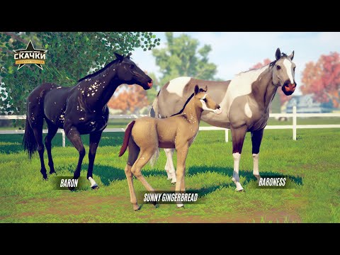 Видео: Разведение кастомных лошадей 🌺 Rival Stars Horse Racing 🌺 Версия на ПК