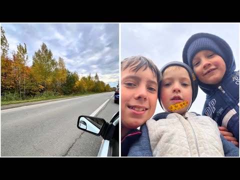 Видео: Завершили сезон городу / По гриби біля будинку / Вартість ремонту авто / Відповідаю на запитання
