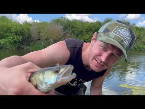 Видео: Выходные на реке Ока - рыболовный опыт дает о себе знать)