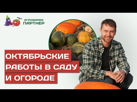 Видео: ОКТЯБРЬСКИЕ РАБОТЫ НА УЧАСТКЕ: СОБИРАЕМ УРОЖАЙ И ГОТОВИМ САД И ОГОРОД К ЗИМЕ