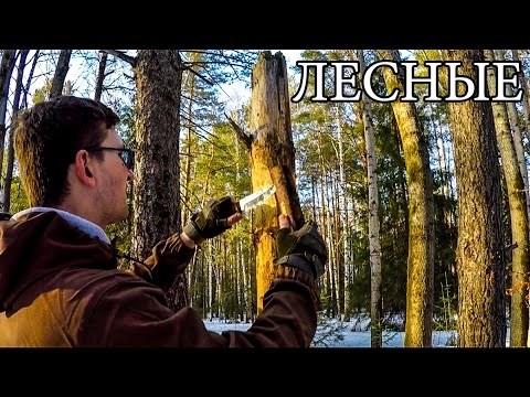 Видео: РАБОТА С НОЖОМ | НОЖ В ЛЕСУ - ТЕХНИКИ - СОВЕТЫ - СЕКРЕТЫ