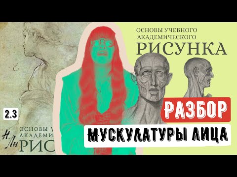 Видео: ОСНОВЫ РИСУНКА: разбор мускулатуры лица и как это связано с рисованием портрета