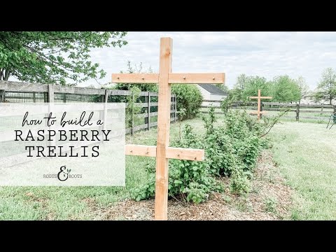 Видео: Как построить шпалеру для малины