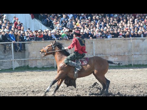 Видео: 🔥МАНАС НИЯЗОВ и БОЙКА 💥 Часть - 1
Manas Niyazov,  Boyka 🔥 🏇 Part - 1