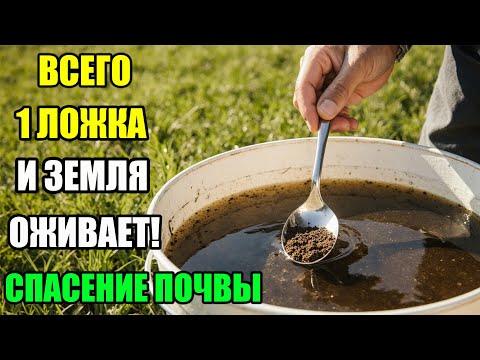 Видео: ВСЕГО 1 ЛОЖКА НА ВЕДРО ВОДЫ — И ЗЕМЛЯ СТАНОВИТСЯ ЖИВОЙ, УРОЖАЙ РАСТЁТ НА ГЛАЗАХ!