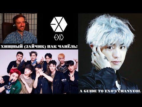 Видео: ХИЩНЫЙ (ЗАЙЧИК) ПАК ЧАНЁЛЬ! | CHANYEOL EXO | ARI RANG | РЕАКЦИЯ | A GUIDE TO EXO'S CHANYEOL !!