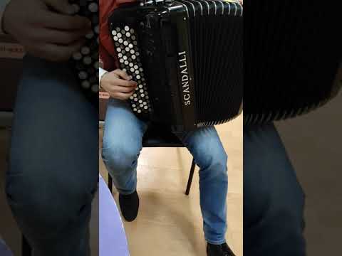 Видео: продается баян Scandalli,мюзет