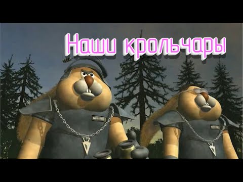 Видео: S.W.I.N.E  | Обзор на пожилого