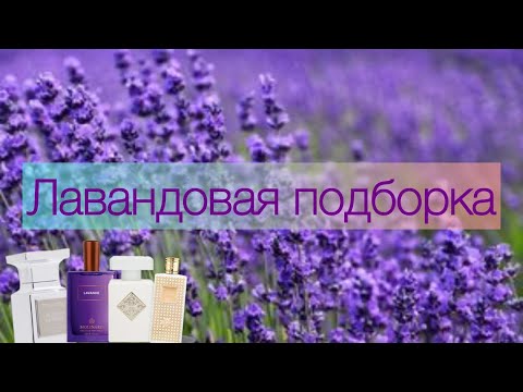 Видео: МОИ ПАРФЮМЫ С НОТОЙ ЛАВАНДЫ 💜