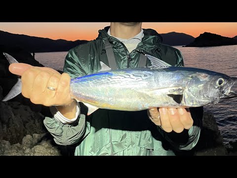 Видео: Ловим Тунца и Барракуду с Берега в Турции! Catching Tuna and Barracuda from the Shore in Turkey!
