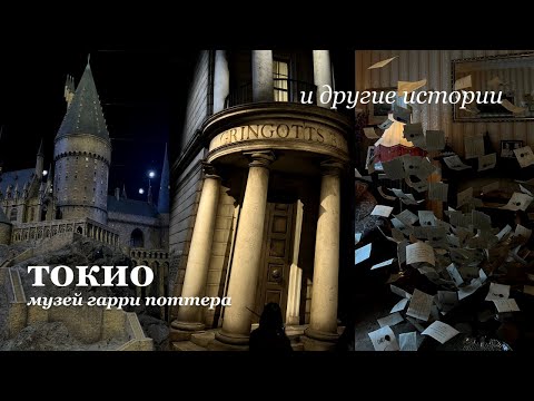 Видео: влог: япония | музей гарри поттера | якинику | рок-бар | токио