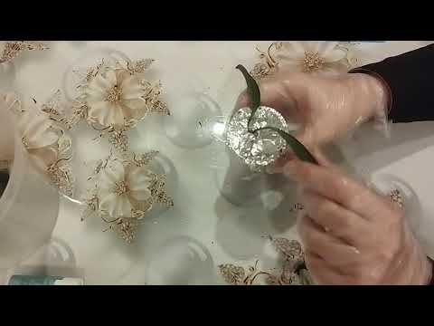 Видео: как я укореняю хойи 2023 г.