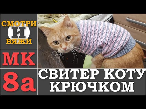 Видео: СВИТЕР 👕 ДЛЯ КОТА 😺 КРЮЧКОМ 8а МК видео в 2к разрешении.
