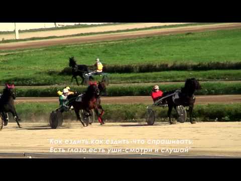 Видео: ЦМИ.Ипподром.М.В.Козлов-сезон 2013.Победы и поражения.