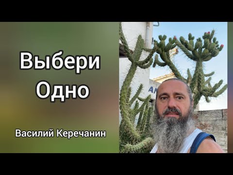 Видео: Как💥Избавлятся От Мыслей? - Василий Керечанин.