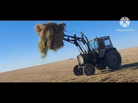 Видео: Жизнь в селе#Казахстан#Не поехали за соломой,устраняем поломку.Один сеновал заполнили.