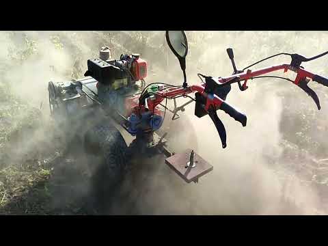 Видео: 132#Копаємо картоплю 12.08.2024