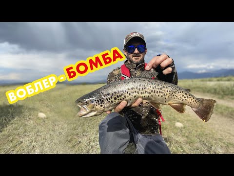 Видео: Ловля форели в Кыргызстане ! Воблер который делает рыбалку