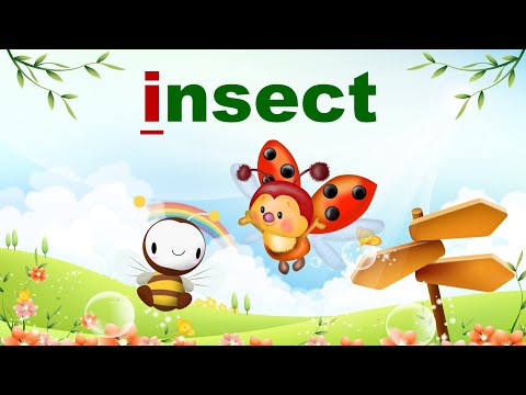 Видео: Літера I. Англійський алфавіт. Вивчаємо слова на літеру I. Англійська для дітей. English for kids