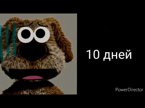 Видео: 1 Сентября начнётся через: