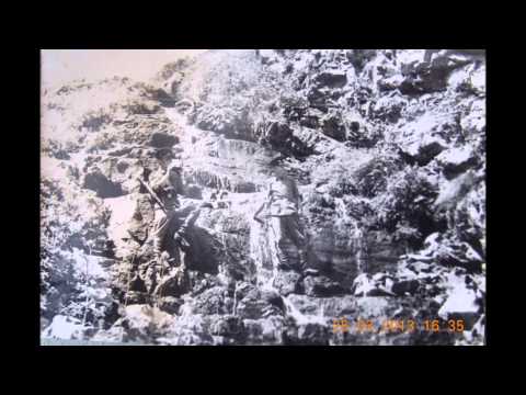 Видео: Моим Друзьям