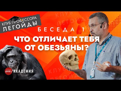 Видео: Что отличает тебя от обезьяны? Беседа 1. Владимир Легойда