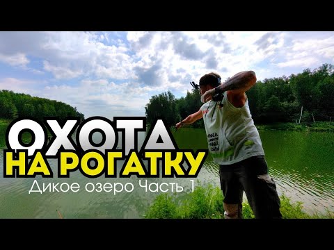 Видео: ОХОТА НА РОГАТКУ на диком ОЗЕРЕ Часть 1