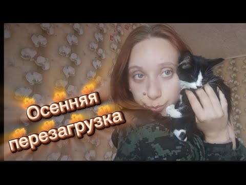 Видео: Уютный осенний влог🍁покупки для дома 