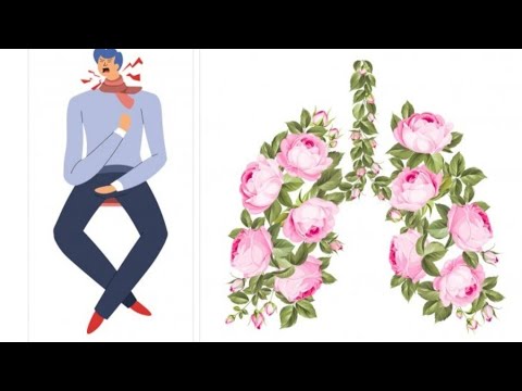 Видео: Очищение и исцеление дыхательной системы