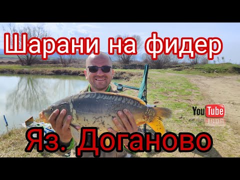 Видео: ФИДЕР РИБОЛОВ на ШАРАН, ЯЗ. ДОГАНОВО!ХВАНАХ над 20 РИБИ за 4 ЧАСА!