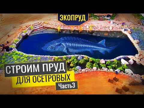 Видео: Строительство пруда для осетровых(часть3)